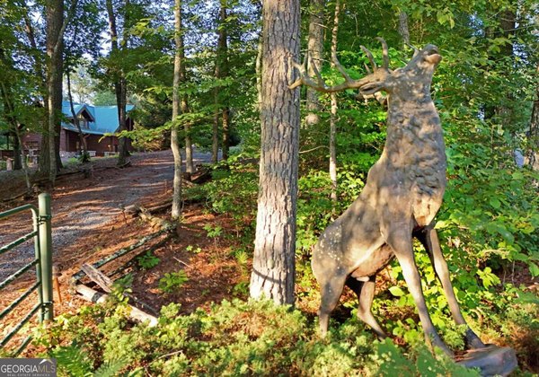 2682 Douthit Road, Mineral Bluff