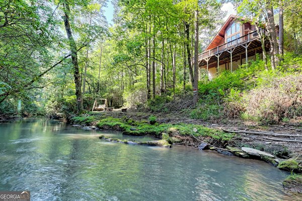 199 Camelia Lane, Tiger