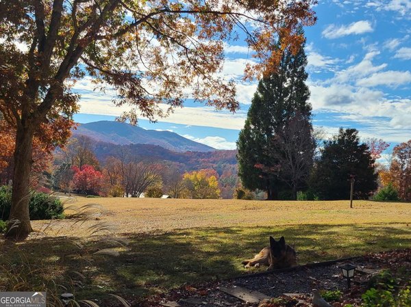 199 Oak Ridge Drive, Blairsville