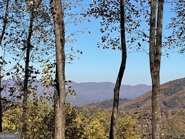 1189 Walnut Ridge, Ellijay