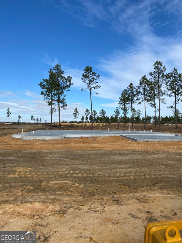 219 Manchester Drive Statesboro