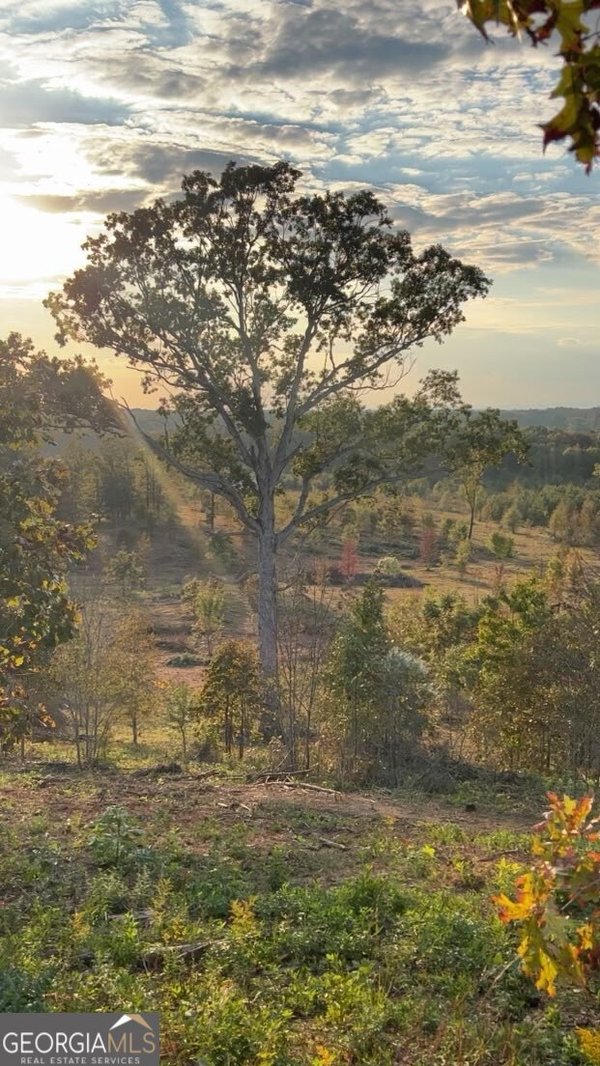 1590 Buttermilk Road Cave Spring