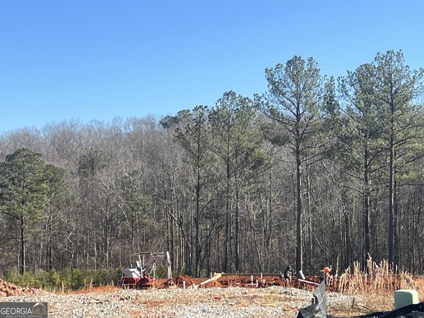 LOT 16 Piney Wood Drive, Newnan