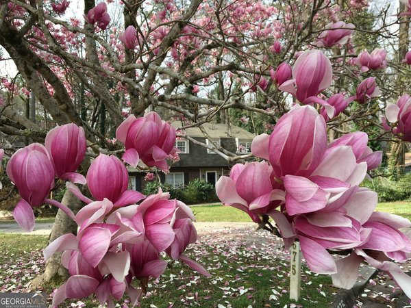 3675 Toxaway Court, Atlanta