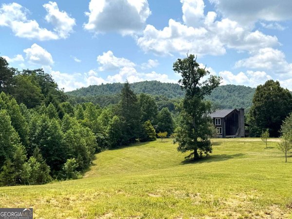 89 Simmons Ridge Mineral Bluff