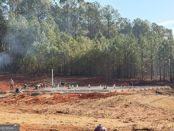 0 Branch Court Newnan