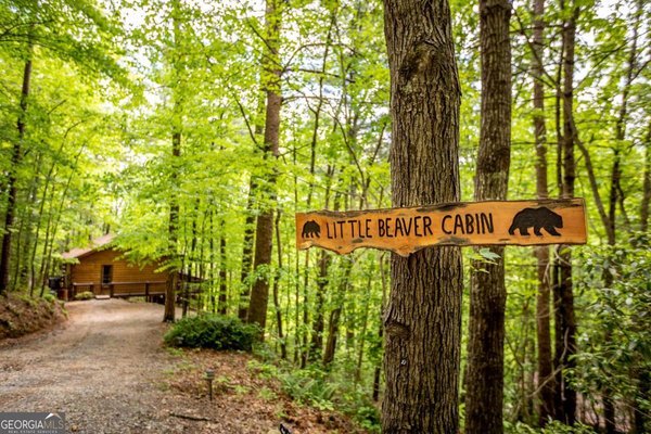 137 Little Beaver Drive, Cherry Log