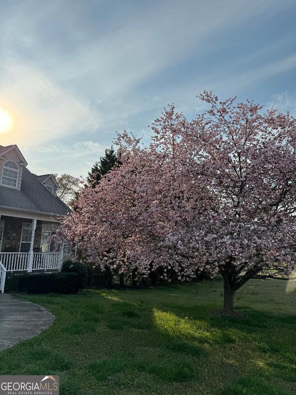 2458 Post Road, Cleveland