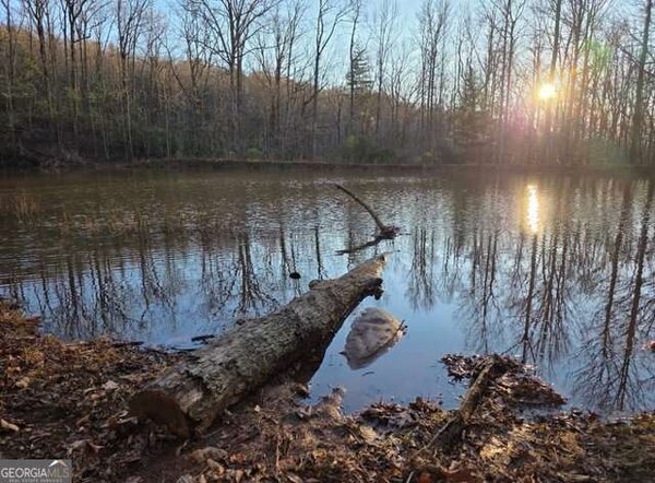 100 Hidden Hollow Lane Dahlonega