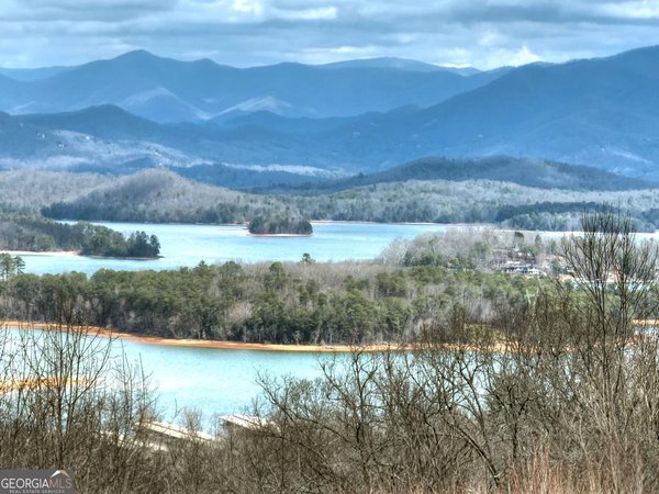 756 Mining Gap Conn, Young Harris