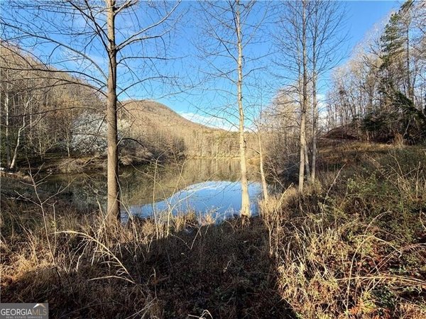 1565 Shoal Creek Road, Clermont