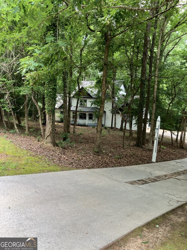 19 ROCKY SHOALS PALMETTO