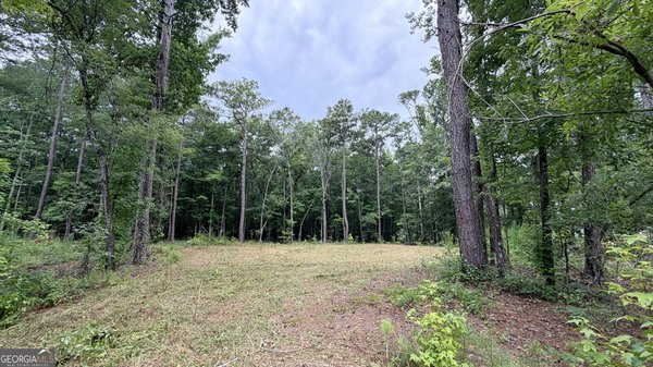 180 Coffey Road Barnesville