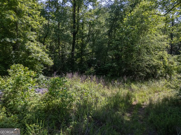 440 Joe Franklin Road Sautee Nacoochee
