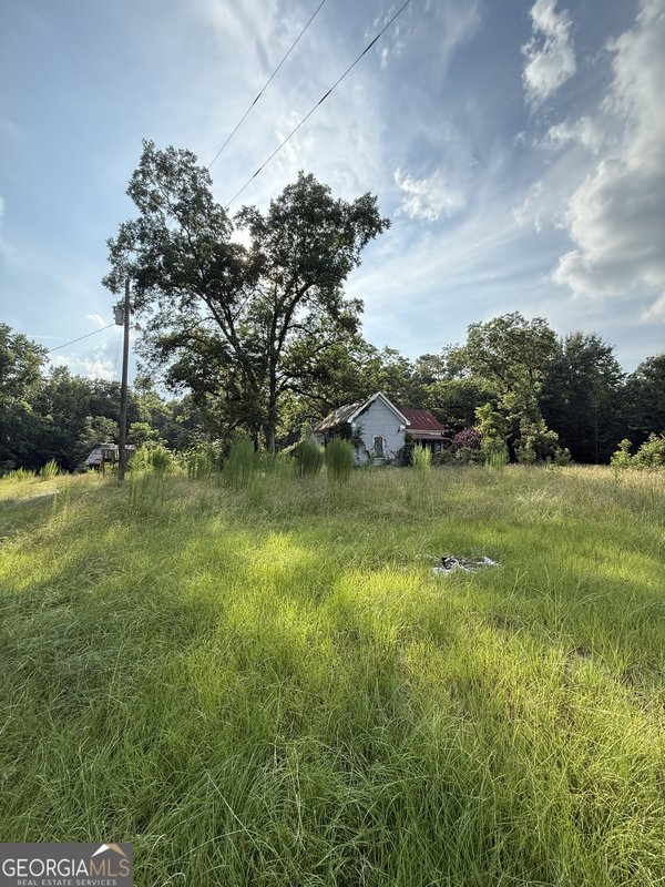 1007 Pleasant Grove Road, Sandersville