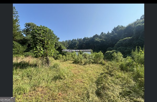 1262 Ridge Road Dewy Rose
