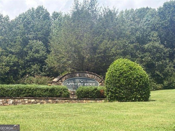 0 Planters Oak Ct - Lot #18, Baldwin