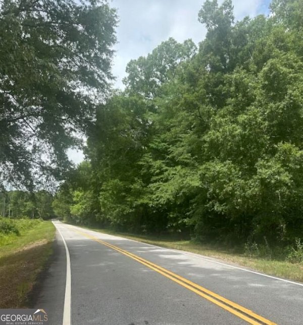 LOT 1 (40+/- AC Line creek Rd, Senoia