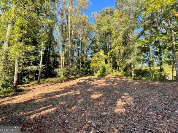 447 Martindale Court Stone Mountain